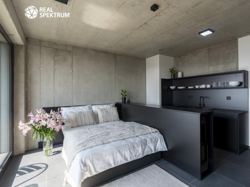 Pronájem bytu 1+kk 31 m2