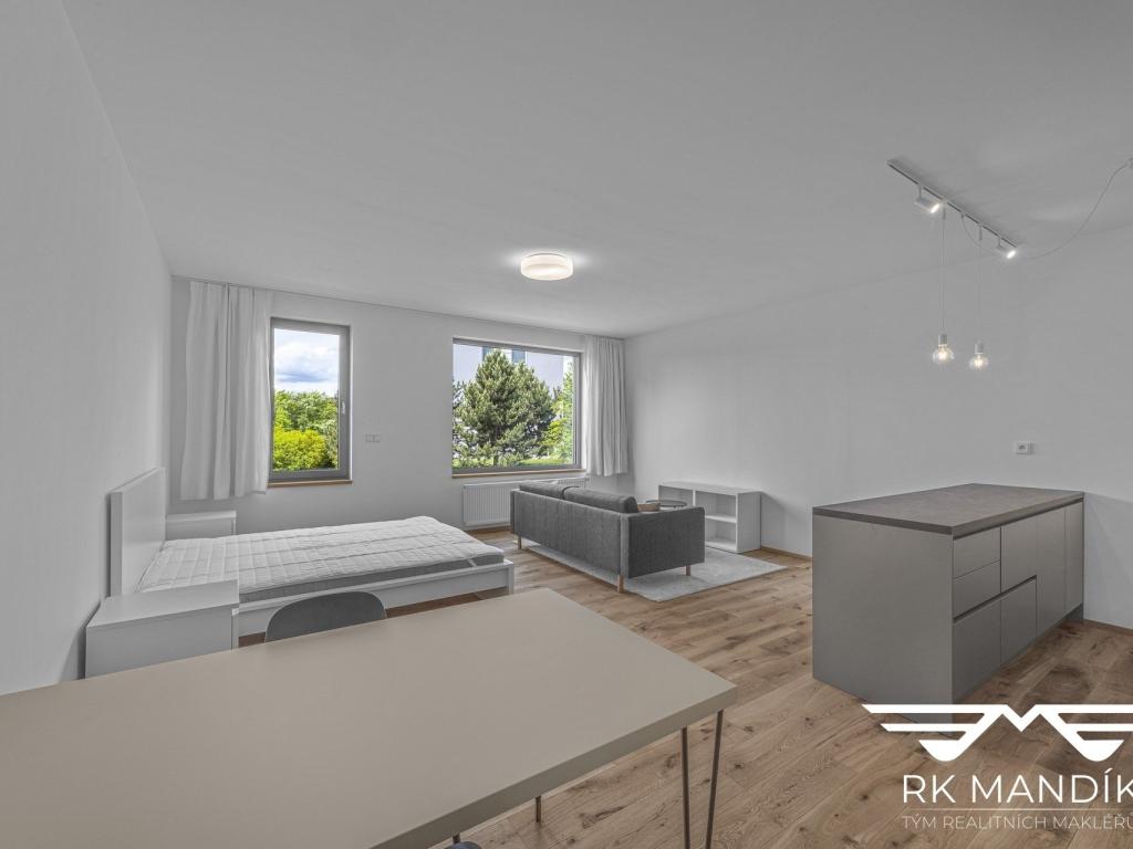 Pronájem bytu 1+kk 45 m2