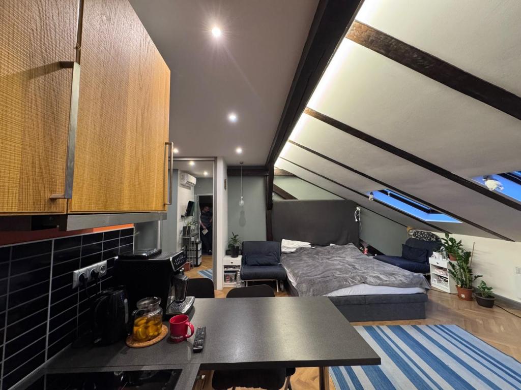 Prodej bytu 1+kk 45 m2, Praha – náhled fotky 8
