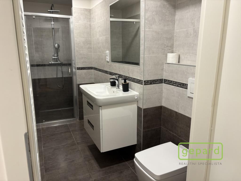Pronájem bytu 2+1 40 m2
