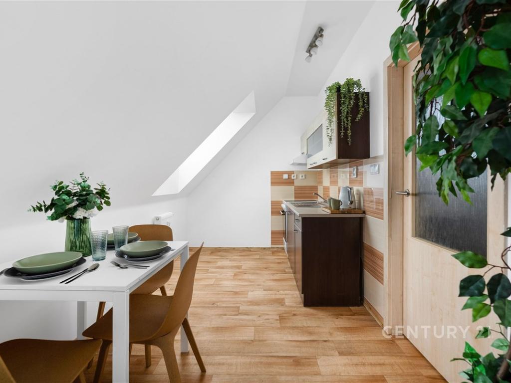 Pronájem bytu 3+kk 58 m2