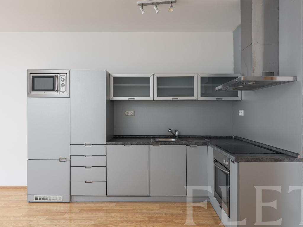Pronájem bytu 1+kk 49 m2