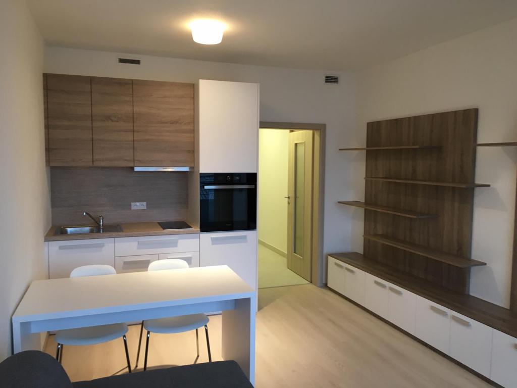 Pronájem bytu 1+kk 30 m2
