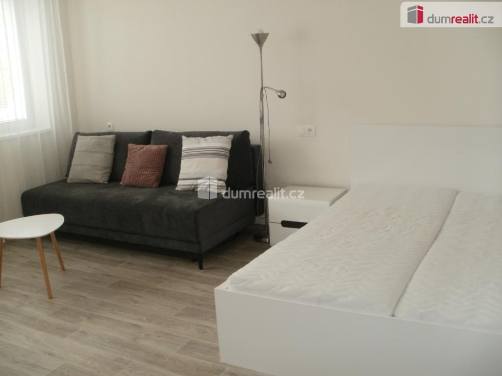 Pronájem bytu 1+1 39 m2