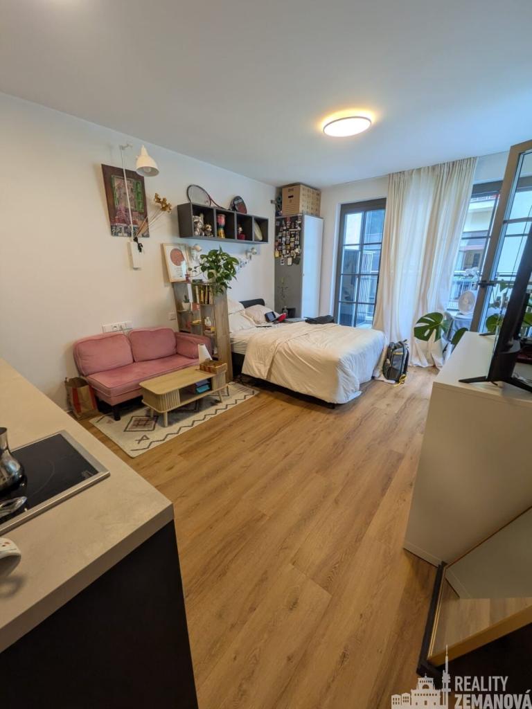 Pronájem bytu 1+kk 41 m2