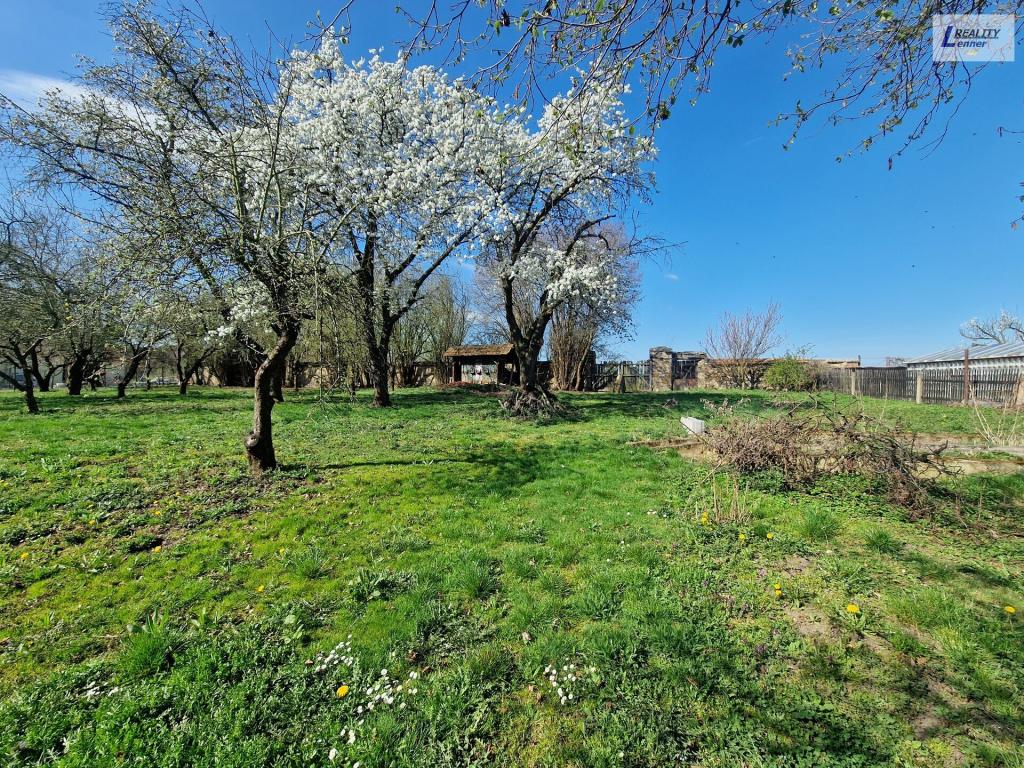 Prodej domu 300 m2, Hostomice – náhled fotky 27
