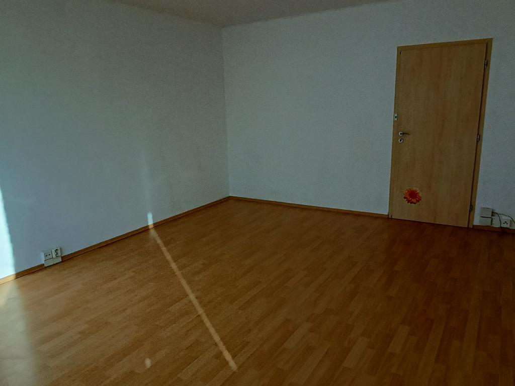 Pronájem bytu 3+1 74 m2
