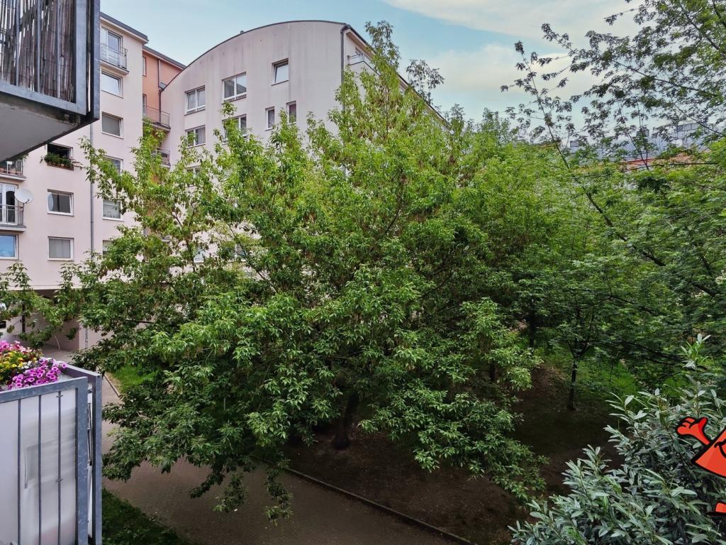 Pronájem bytu 1+kk 30 m2
