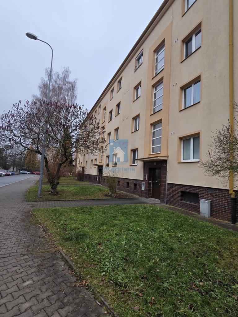 Prodej bytu 3+1 80 m2, Plzeň – náhled fotky 23