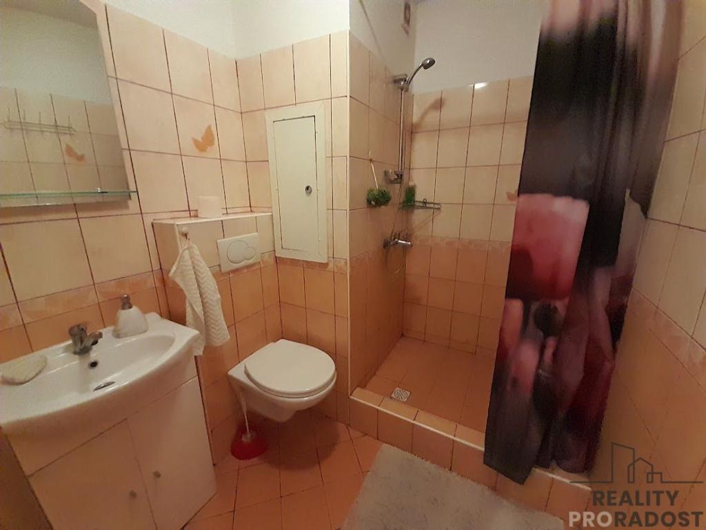 Pronájem bytu 1+1 32 m2