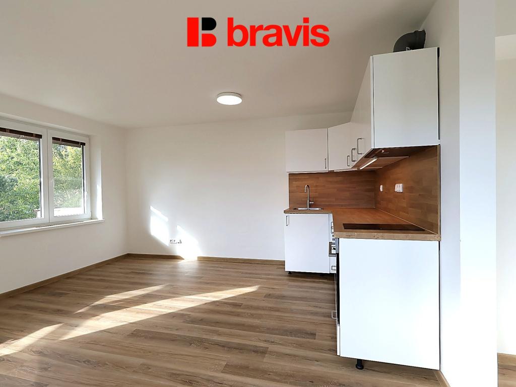 1+kk Apartment in Brno - View 4